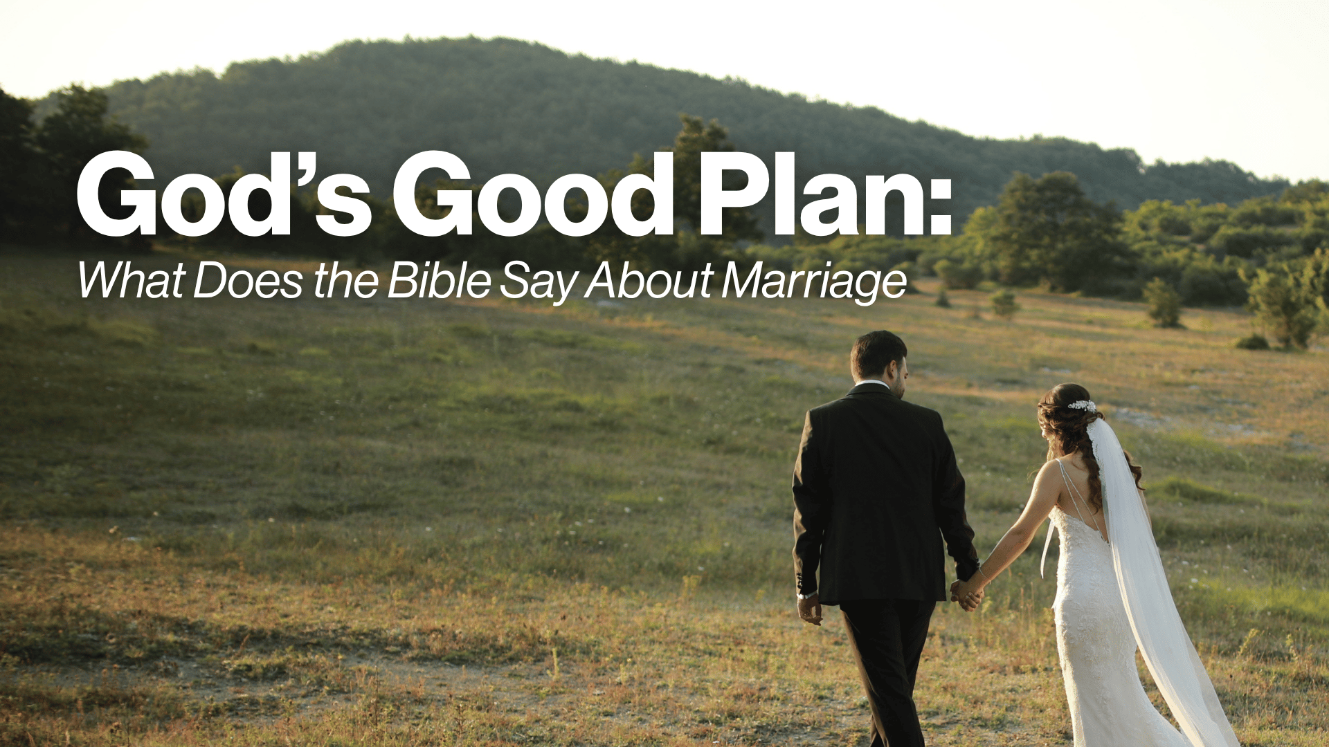 God's Good Plan: What Does the Bible Say About Marriage Image