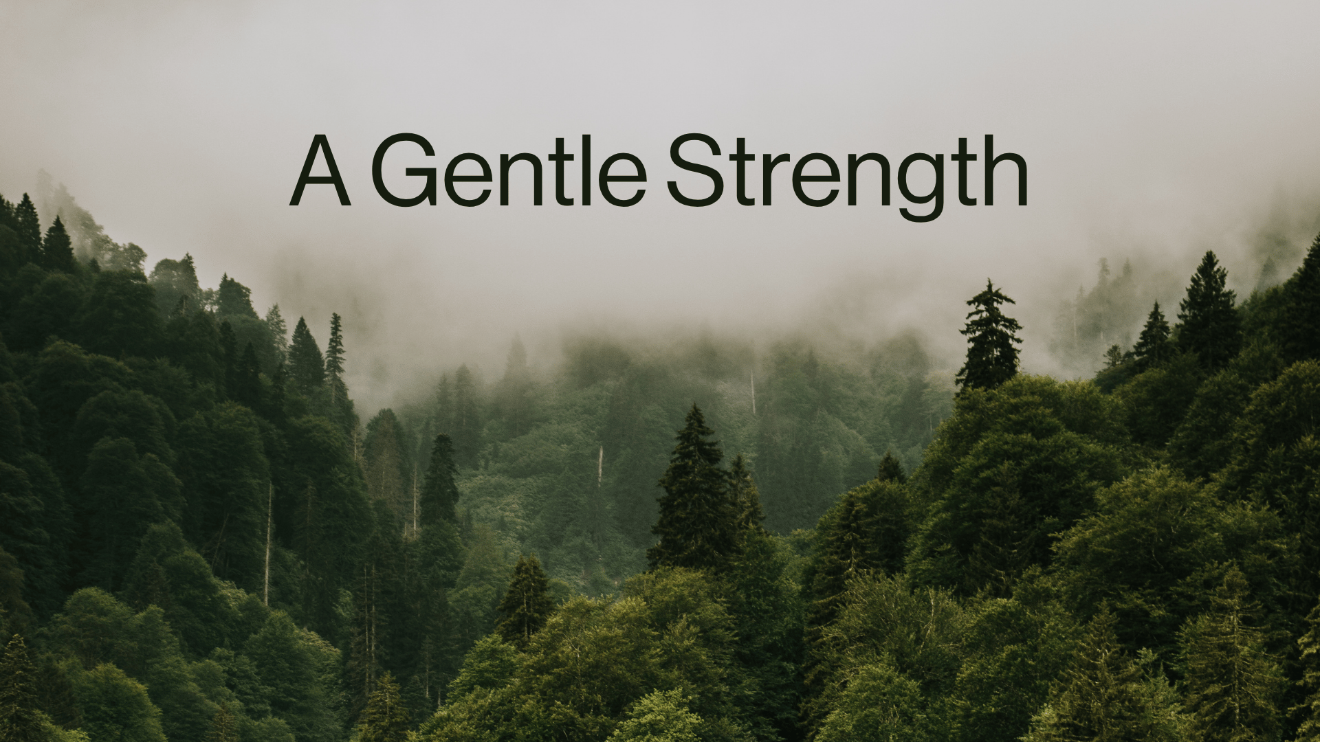 A Gentle Strength Image