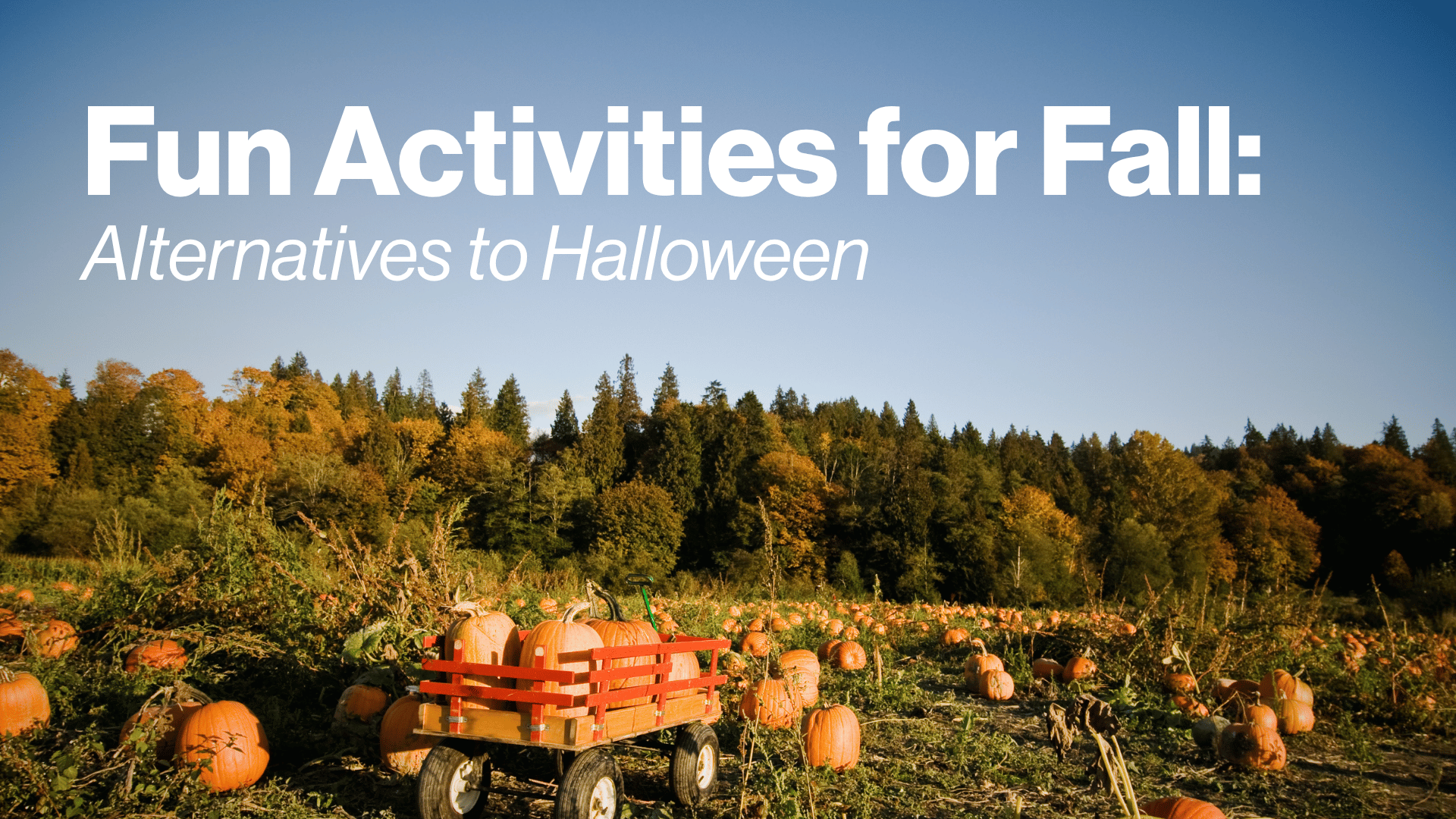 Fun Activities for Fall: Alternatives to Halloween Image