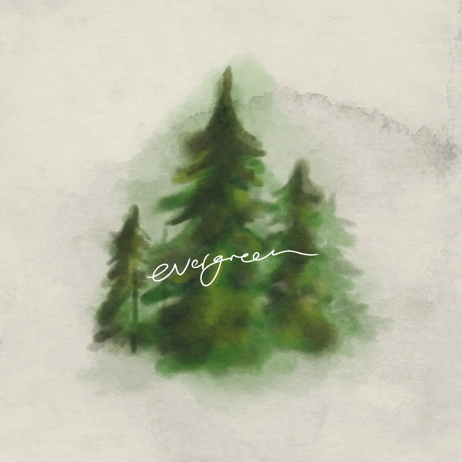 Evergreen