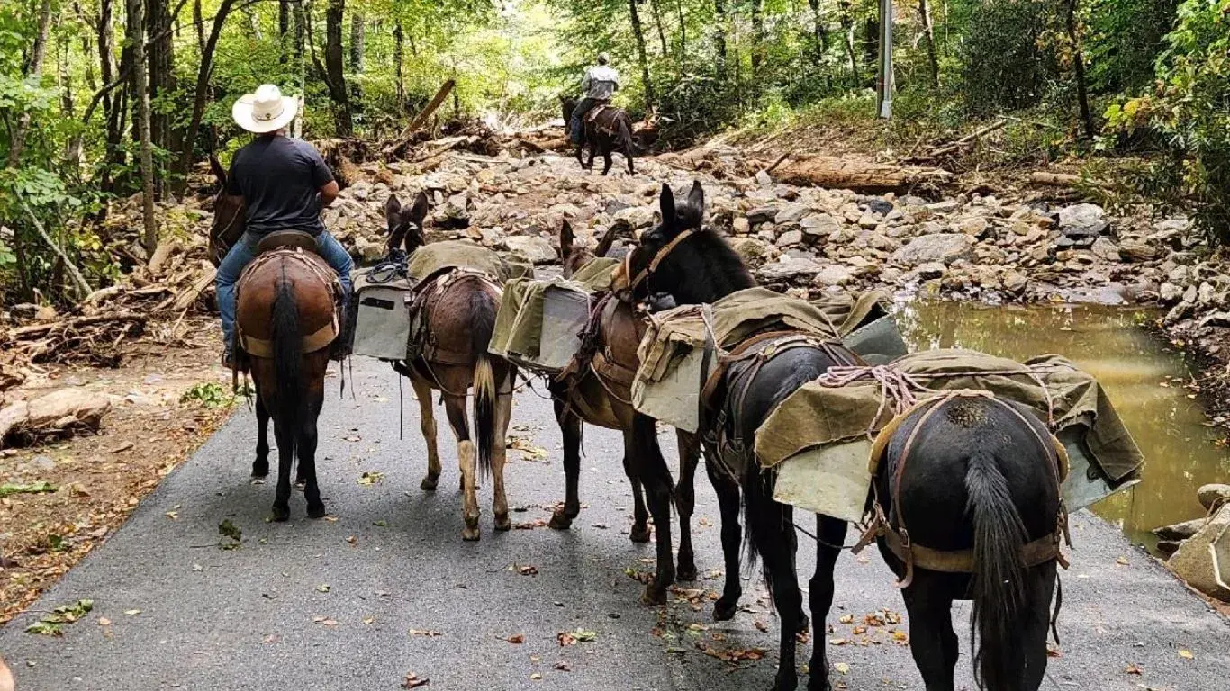 Mission Mules: How Their Ministry Grew Out Of Hurricane Helene (+Podcast) 