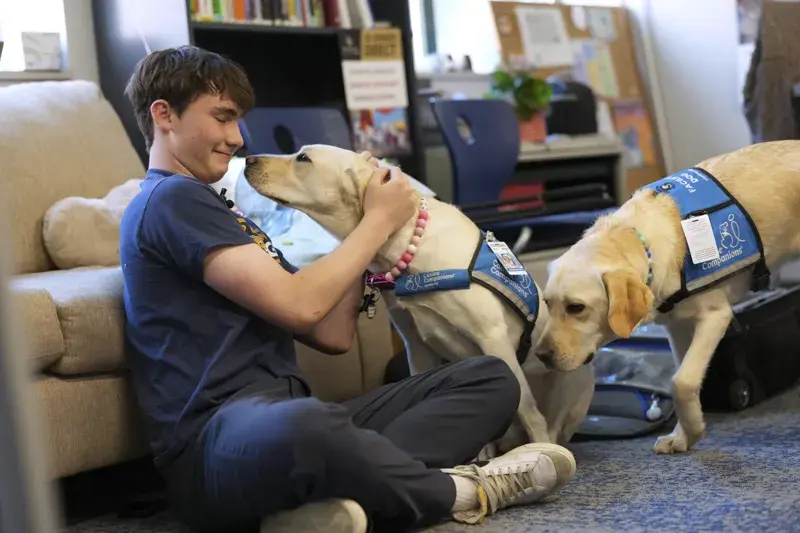 After Traumatic Incident Comfort Dogs Arrive At High School