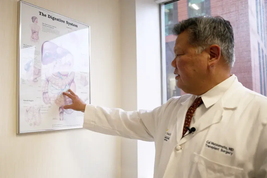 A Look At The US Organ Transplant System And How To Improve Your Chances If You're In Need