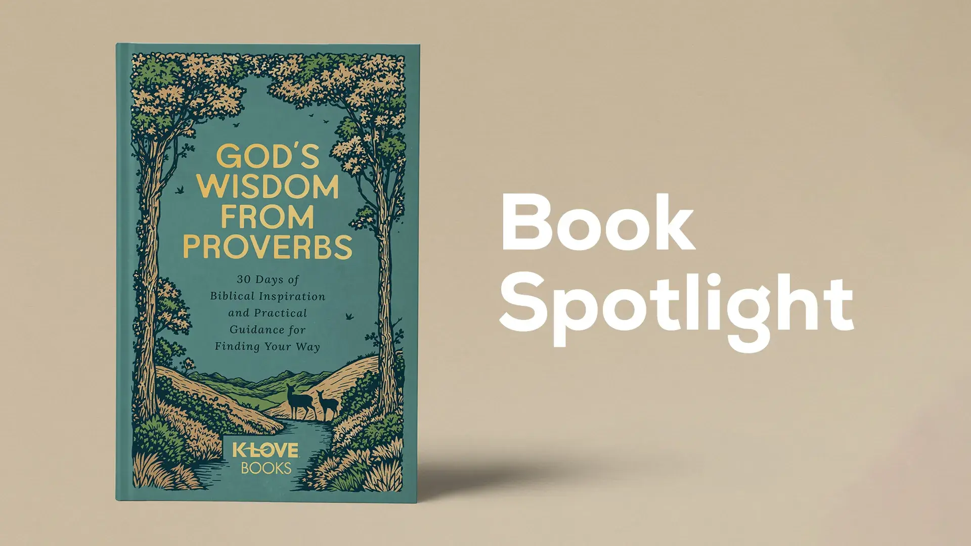 "God's Wisdom From Proverbs" Book Spotlight 