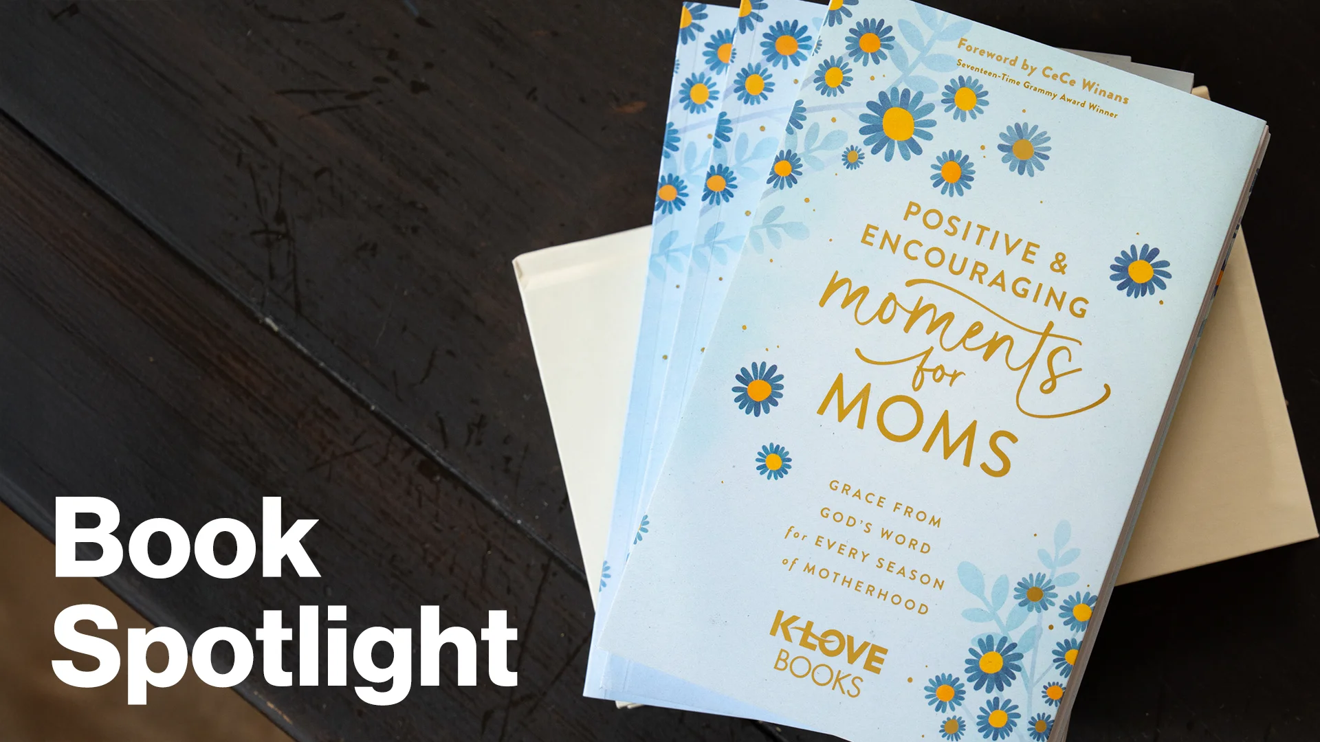 Book Spotlight Positive and Encouraging Moments for Moms