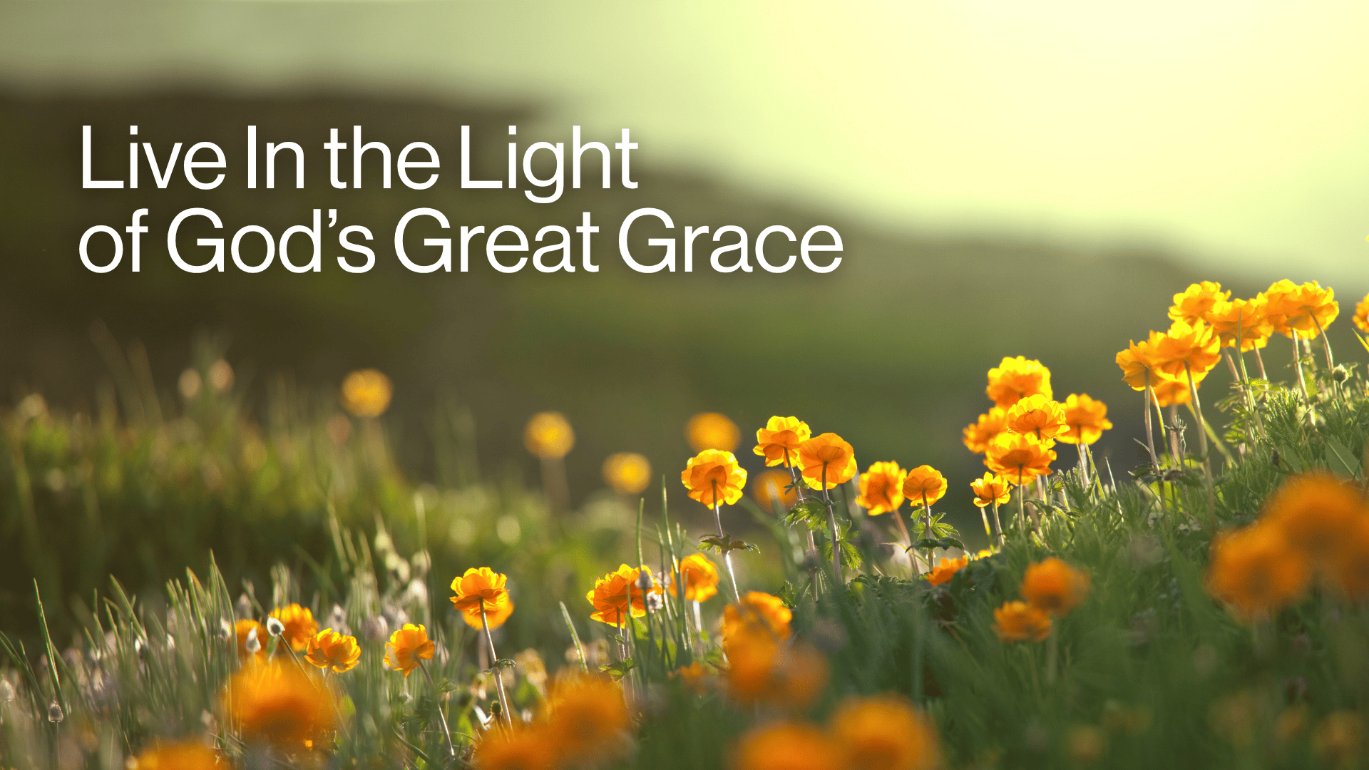 Live in the Light of God's Great Grace Image