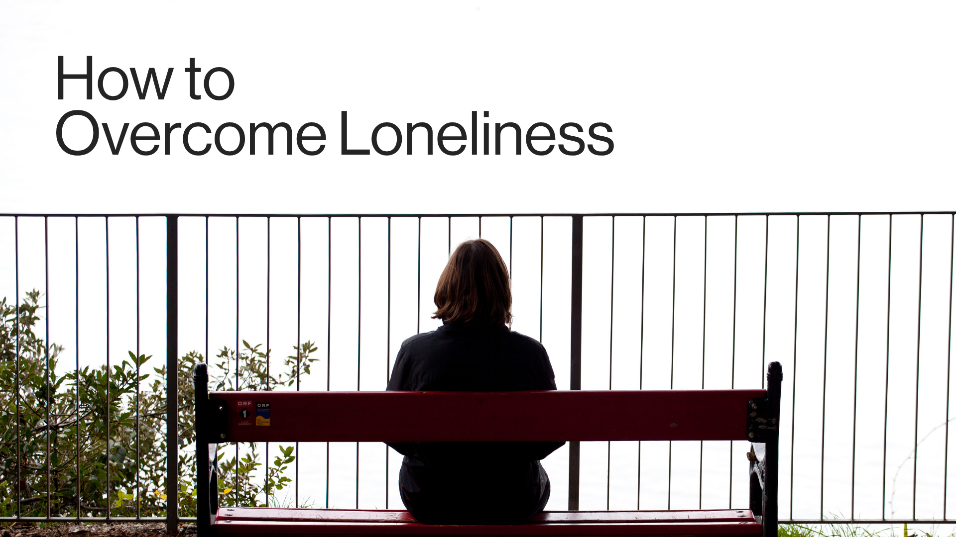 How to Overcome Loneliness Image