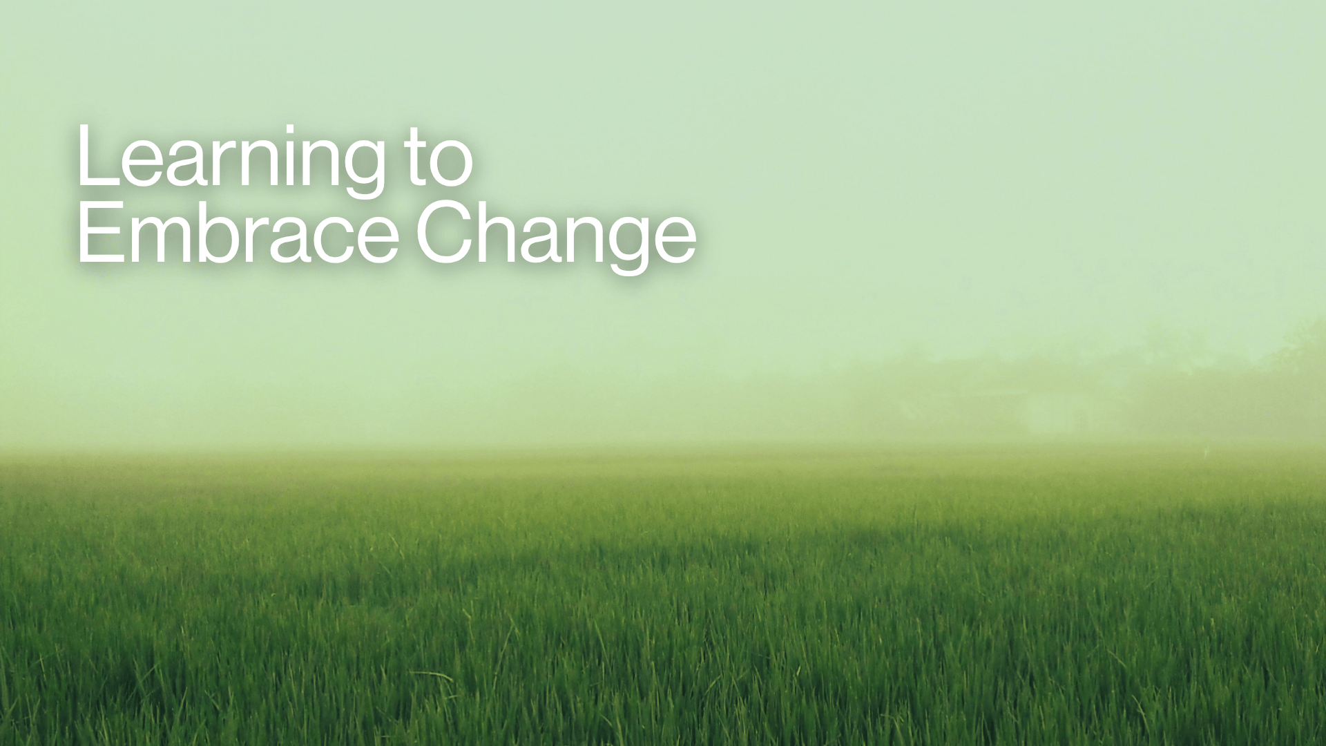 Learning to Embrace Change Image