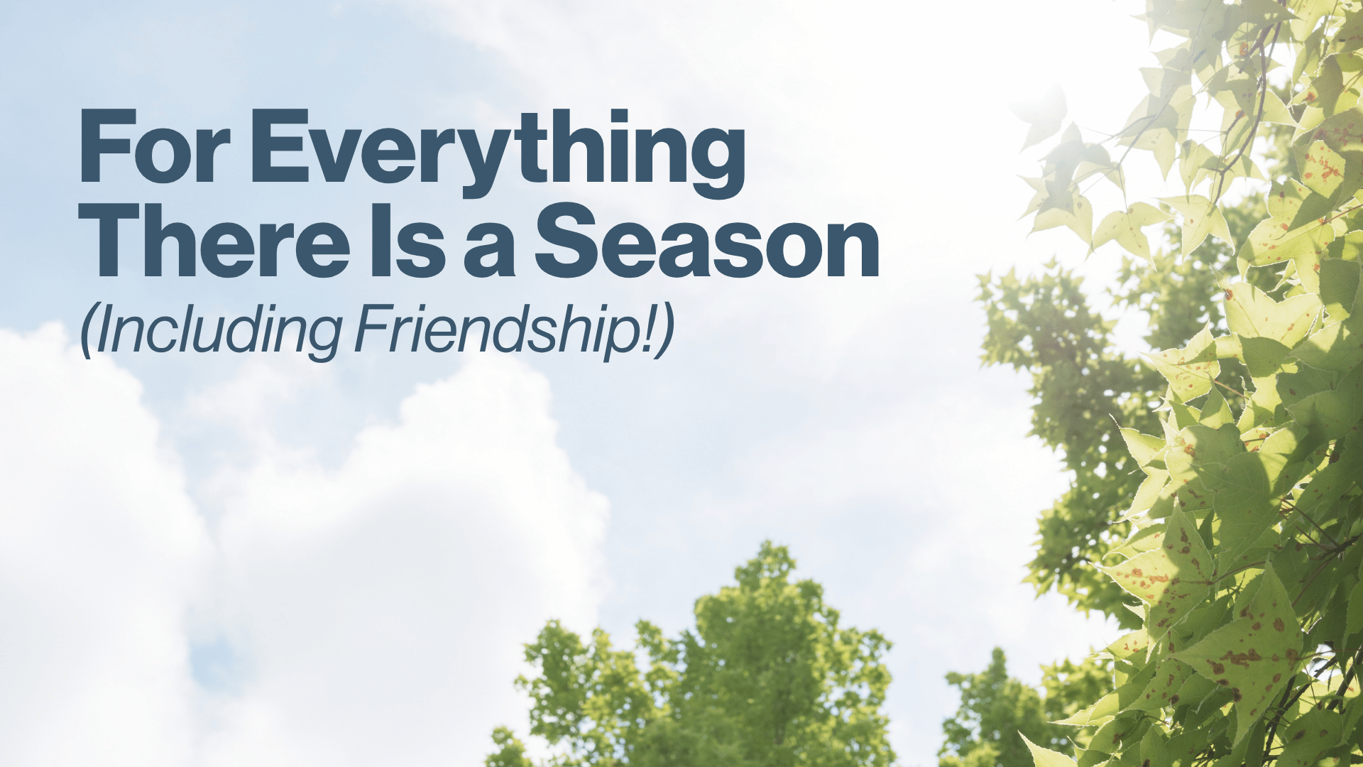 For Everything There Is a Season (Including Friendship!) Image