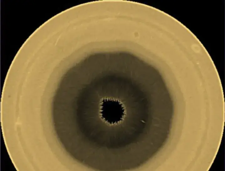 An Unusual, Incredible Thing On Saturn