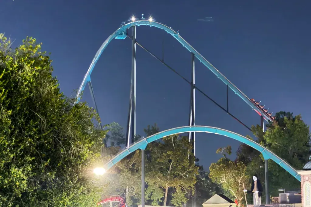 Roller Coaster Tragedy: What Took Place (sensitive content)
