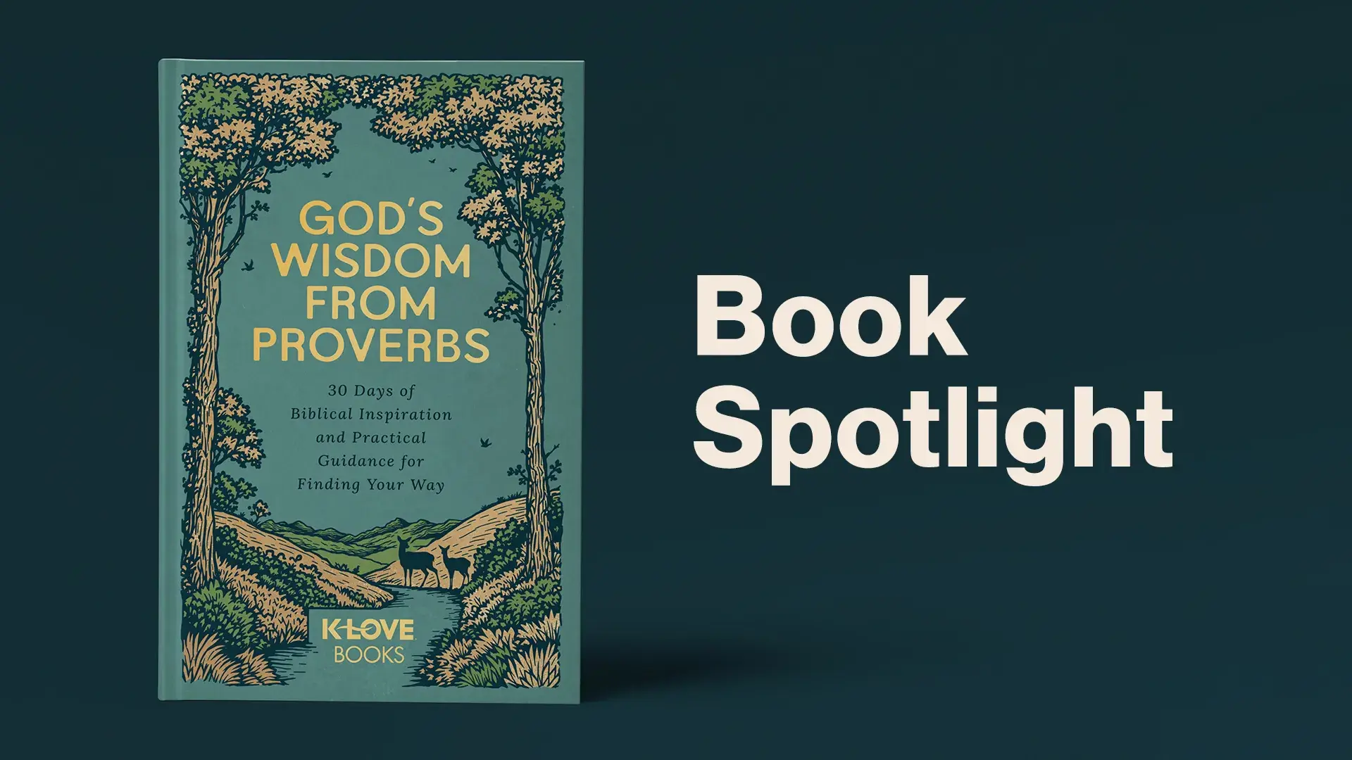 God's Wisdom From Proverbs Book Spotlight